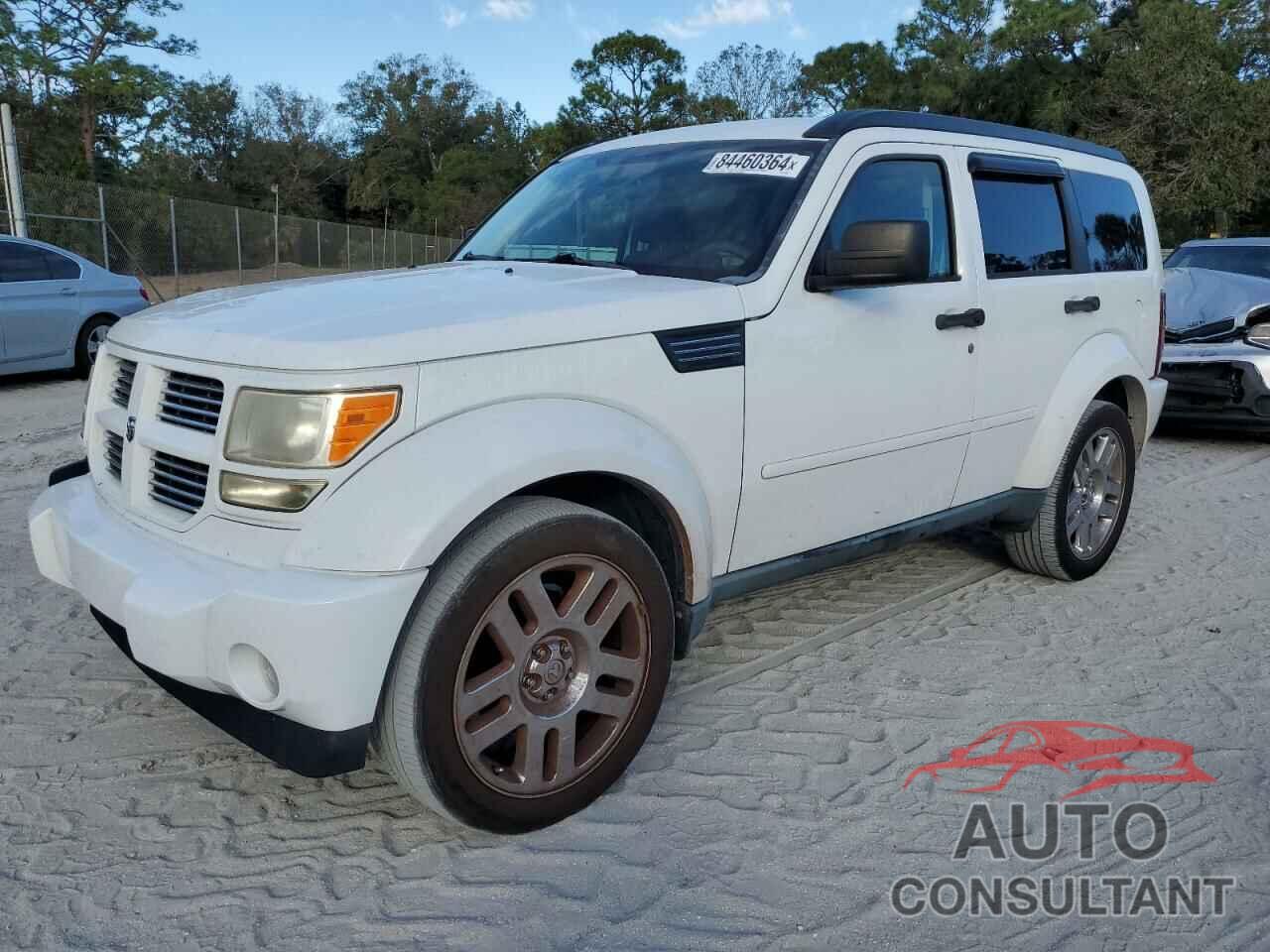 DODGE NITRO 2011 - 1D4PT4GK6BW582631