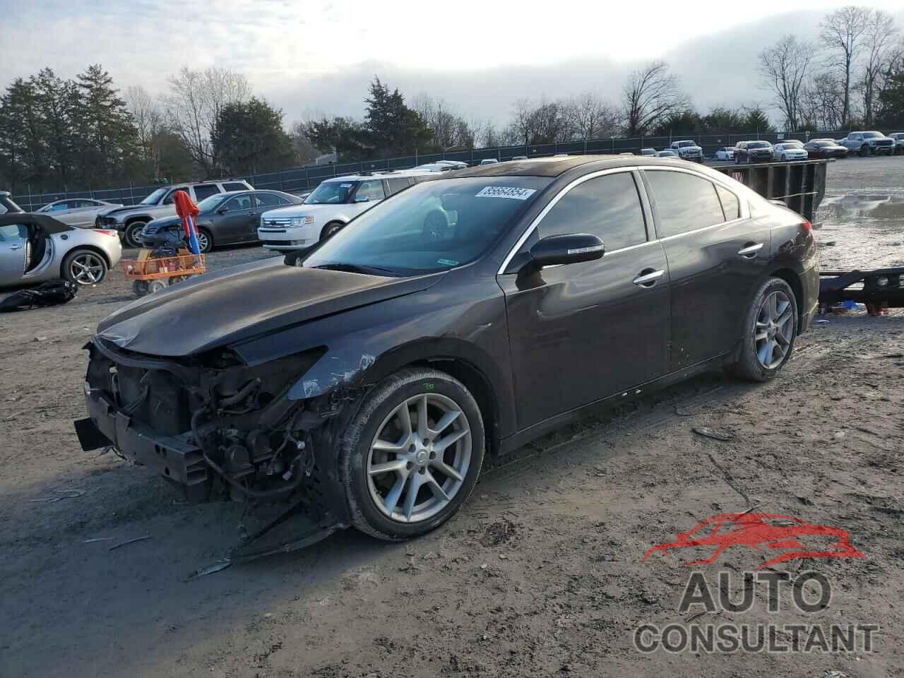 NISSAN MAXIMA 2010 - 1N4AA5APXAC844093