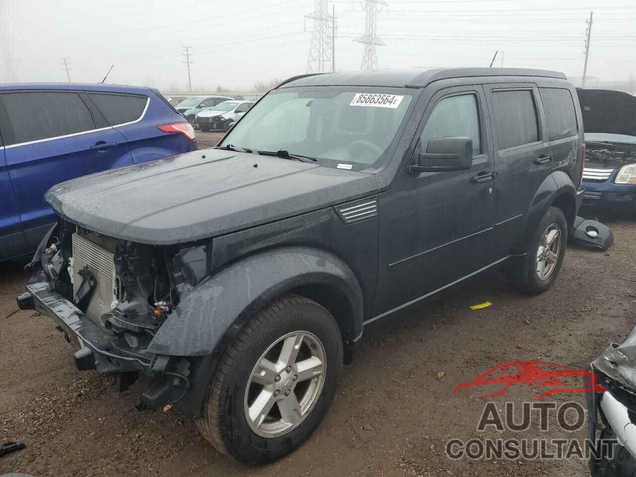 DODGE NITRO 2011 - 1D4PT5GK1BW544326