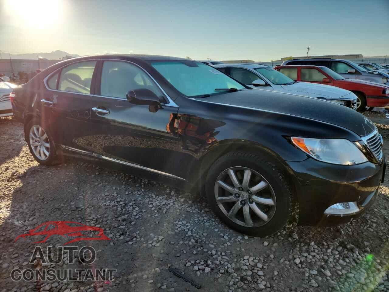 LEXUS LS460 2009 - JTHCL46F695002826