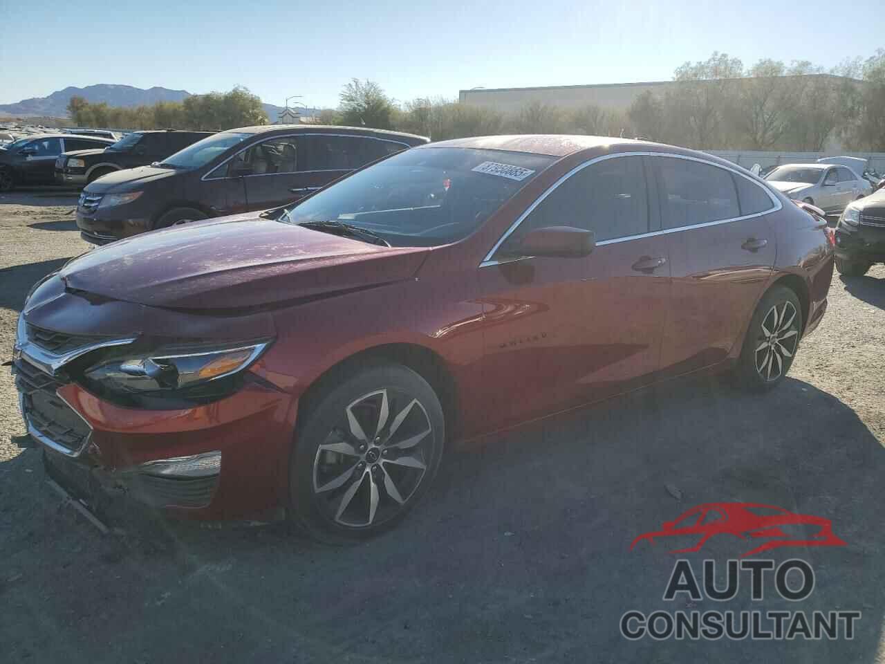 CHEVROLET MALIBU 2021 - 1G1ZG5ST7MF031426