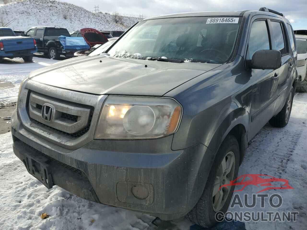 HONDA PILOT 2010 - 5FNYF4H52AB025610