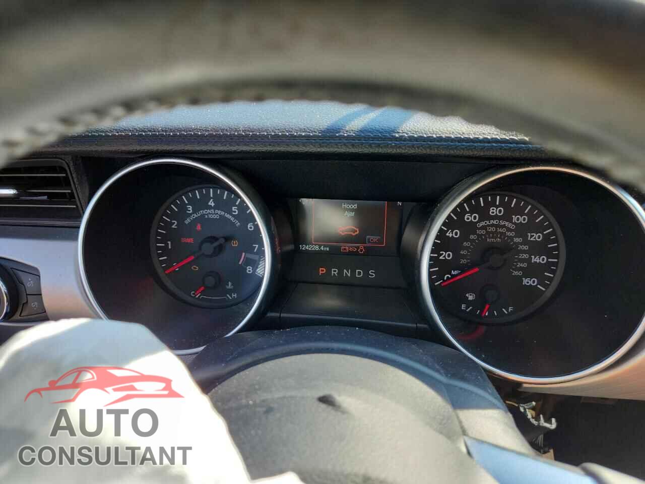 FORD MUSTANG 2019 - 1FA6P8CF0K5151663