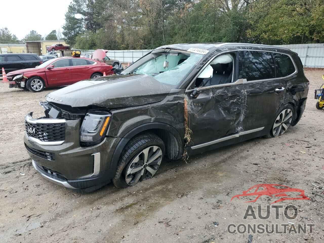 KIA TELLURIDE 2022 - 5XYP6DHC4NG275245