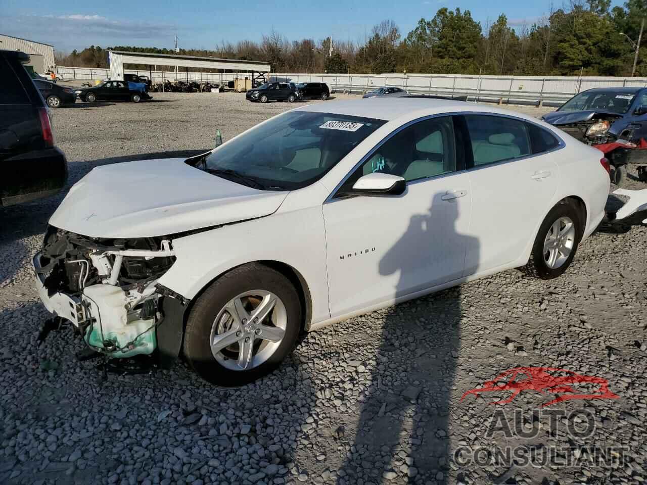 CHEVROLET MALIBU 2020 - 1G1ZC5ST4LF050719