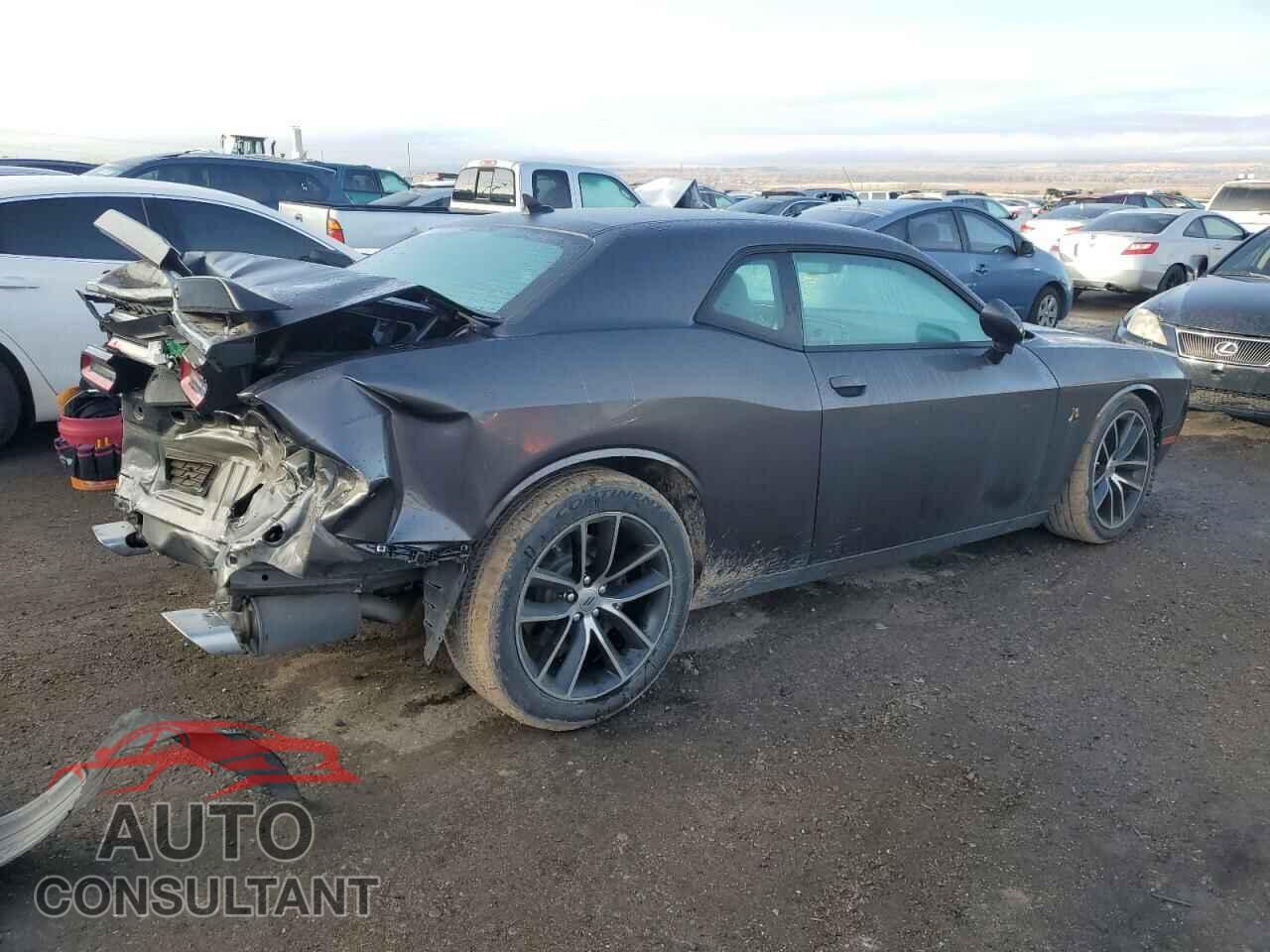 DODGE CHALLENGER 2017 - 2C3CDZFJ7HH664328