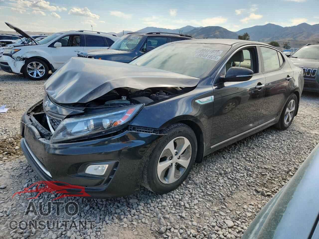 KIA OPTIMA 2016 - KNAGM4AD3G5096938