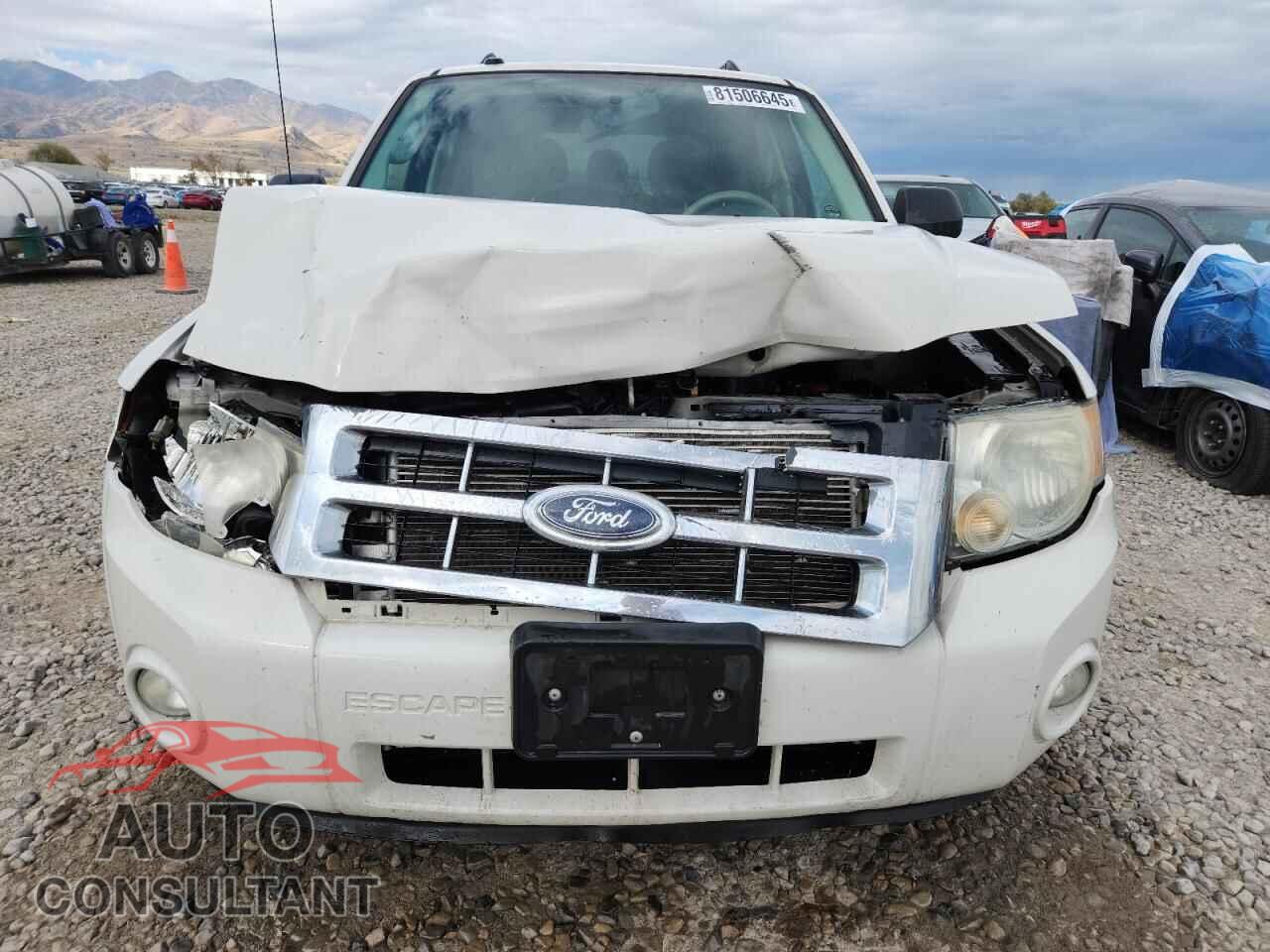 FORD ESCAPE 2010 - 1FMCU9DG7AKA08529