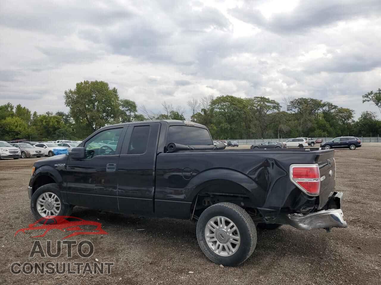 FORD F-150 2012 - 1FTFX1CF1CFB24467