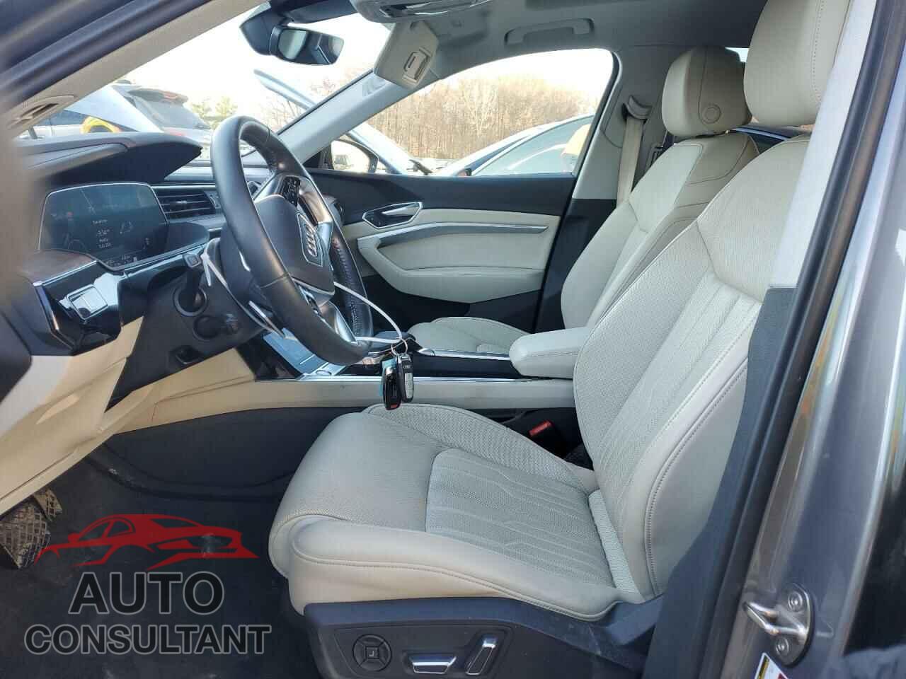AUDI E-TRON 2019 - WA1VAAGE7KB019978