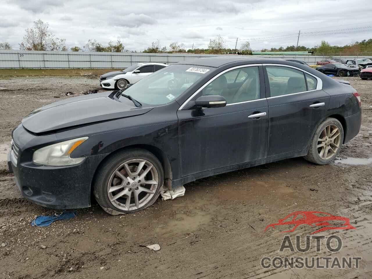 NISSAN MAXIMA 2011 - 1N4AA5APXBC858576