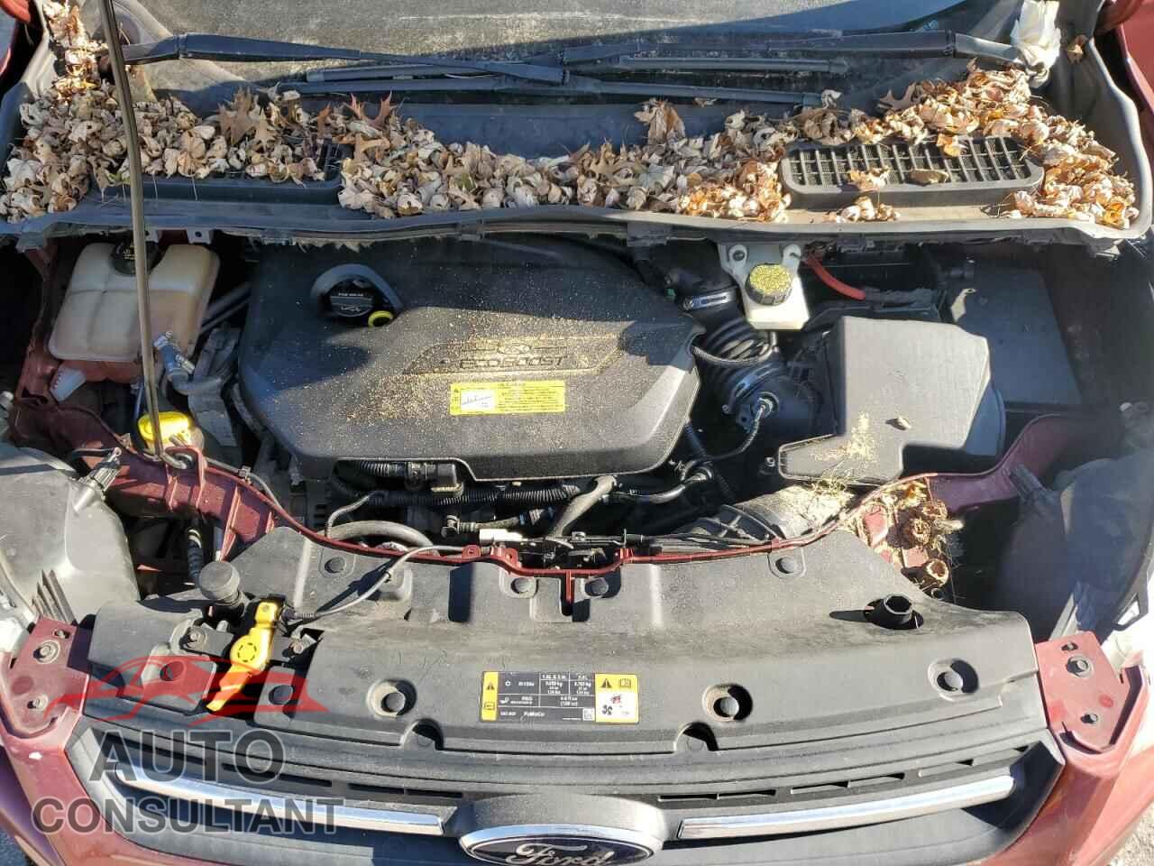 FORD ESCAPE 2014 - 1FMCU0GX4EUC93577