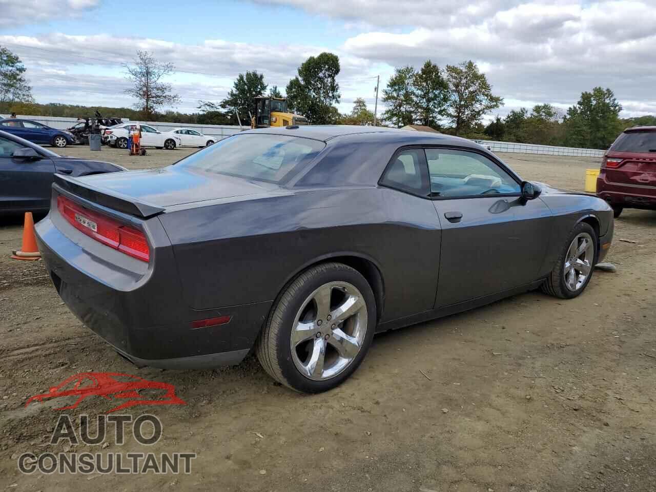 DODGE CHALLENGER 2013 - 2C3CDYBT4DH541789