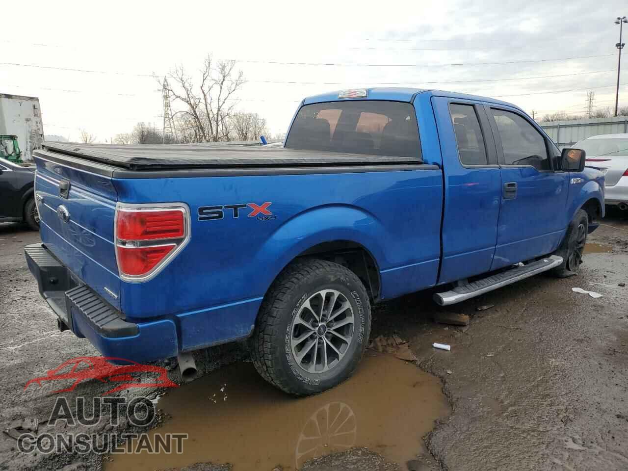 FORD F-150 2013 - 1FTFX1EF3DFD46989