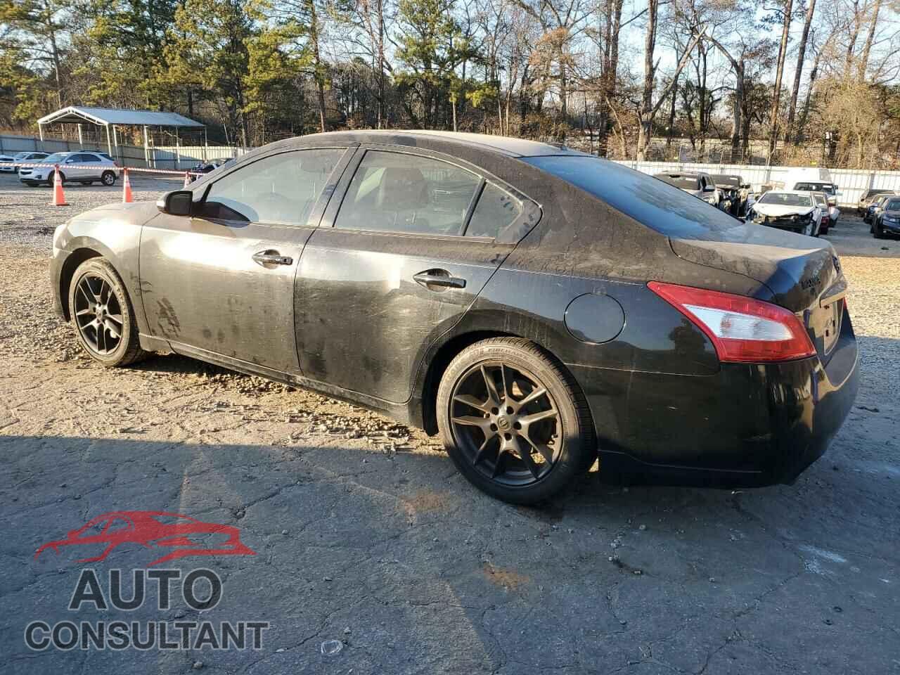 NISSAN MAXIMA 2011 - 1N4AA5AP5BC861949