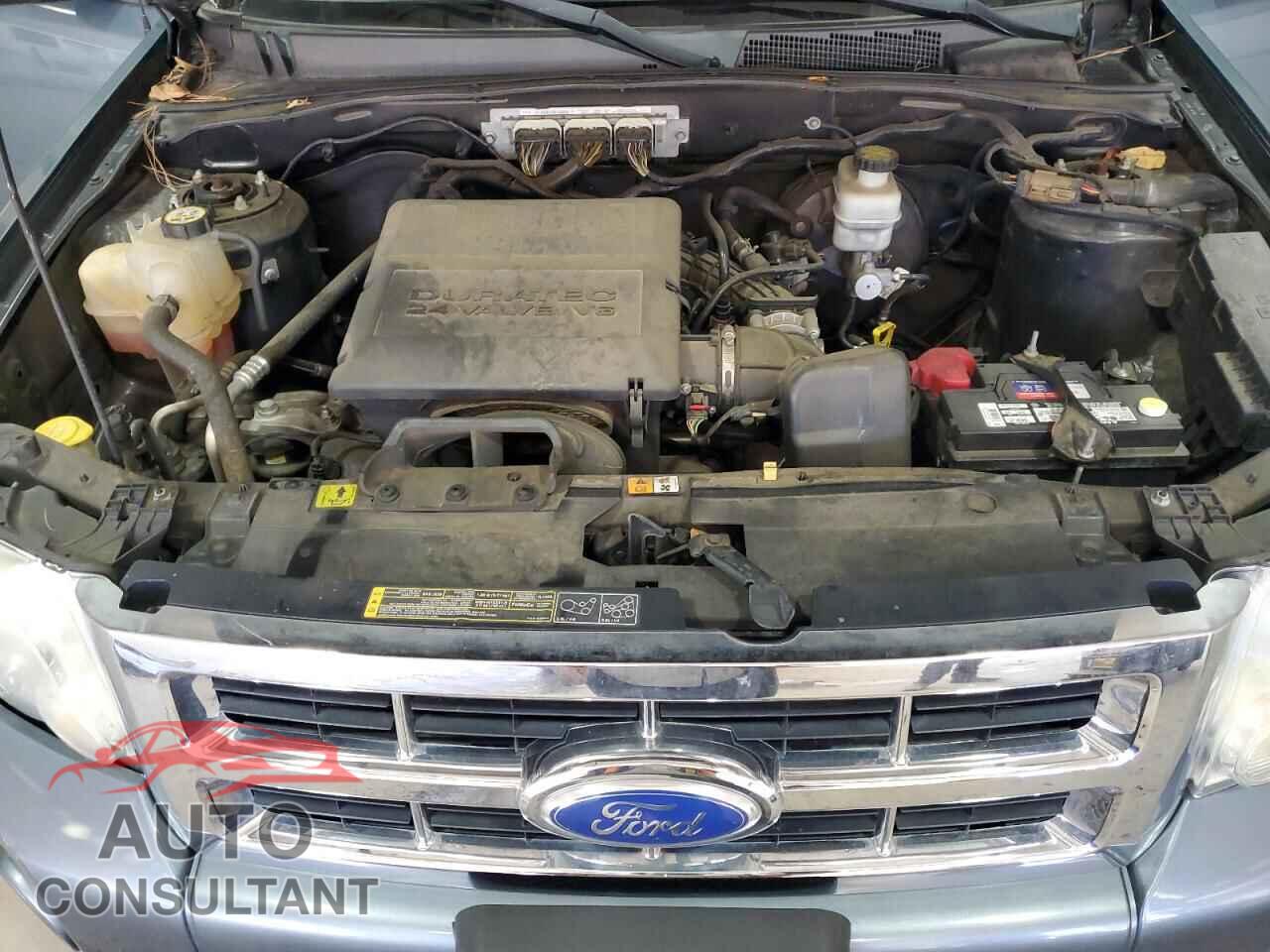 FORD ESCAPE 2011 - 1FMCU0DG6BKC08461