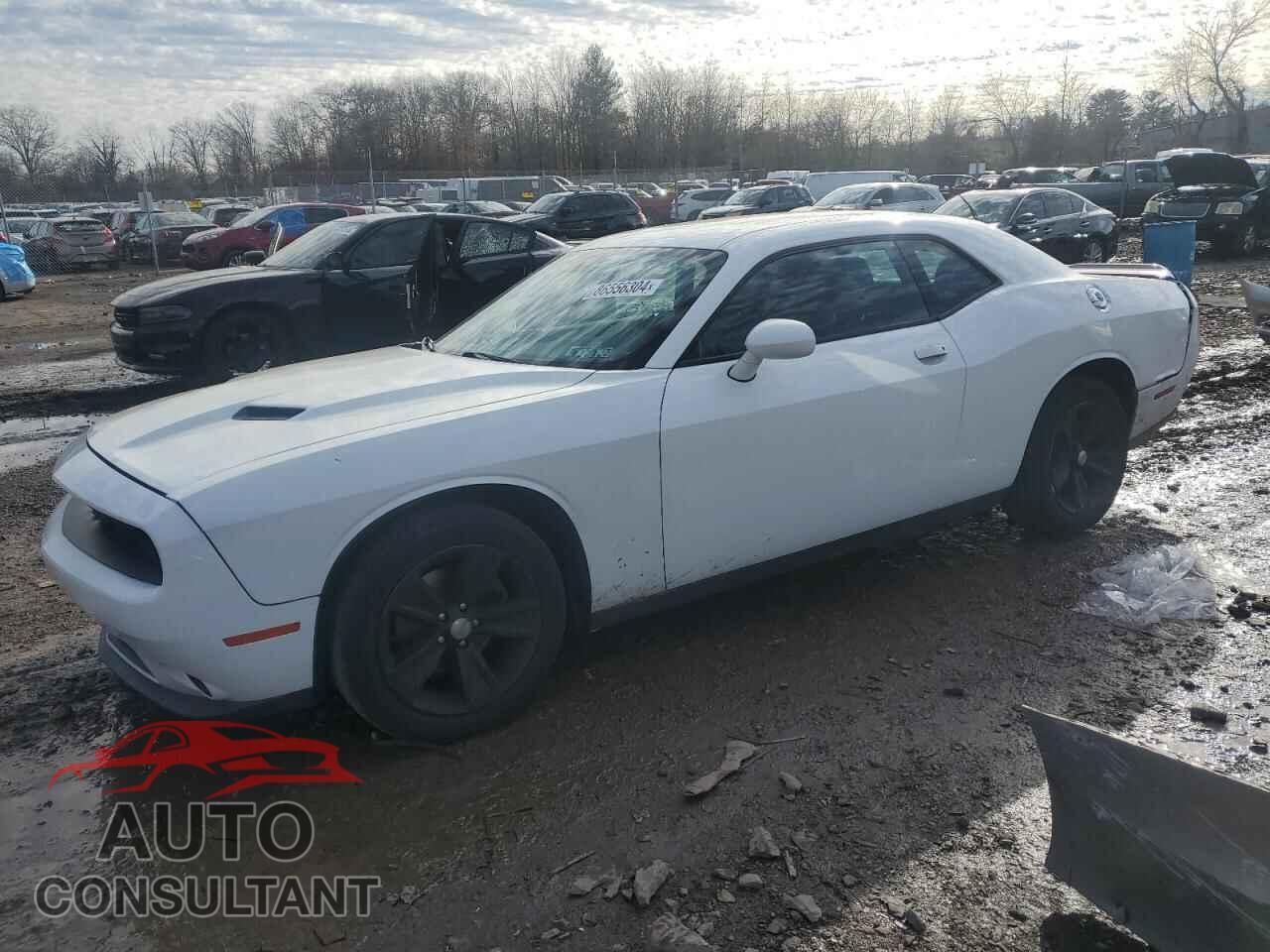 DODGE CHALLENGER 2015 - 2C3CDZAG5FH793855