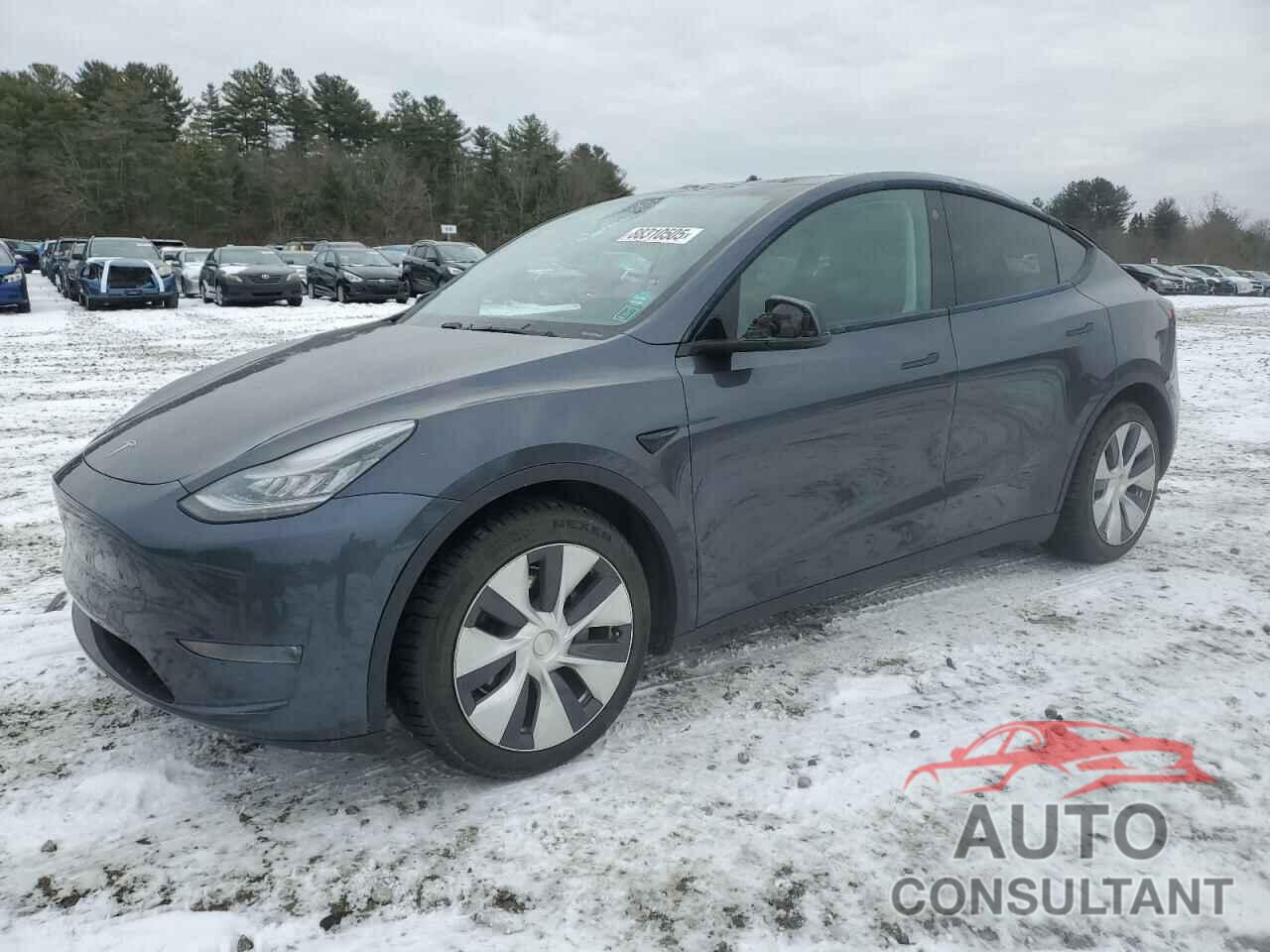 TESLA MODEL Y 2021 - 5YJYGDEE7MF081953