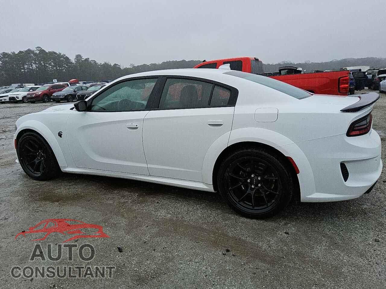 DODGE CHARGER 2023 - 2C3CDXL96PH618406