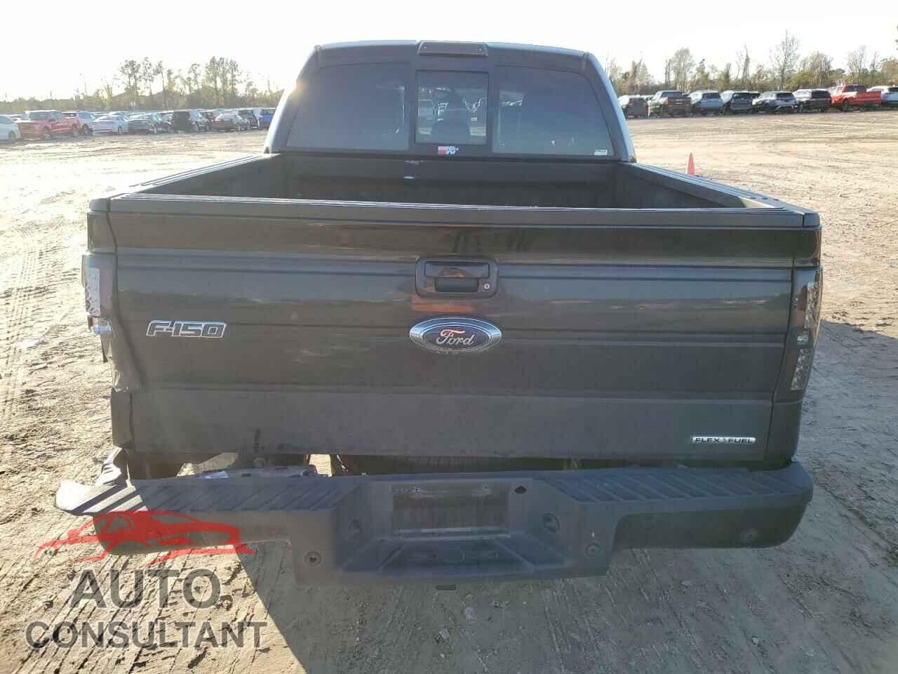 FORD F-150 2013 - 1FTFW1CF6DFD33160