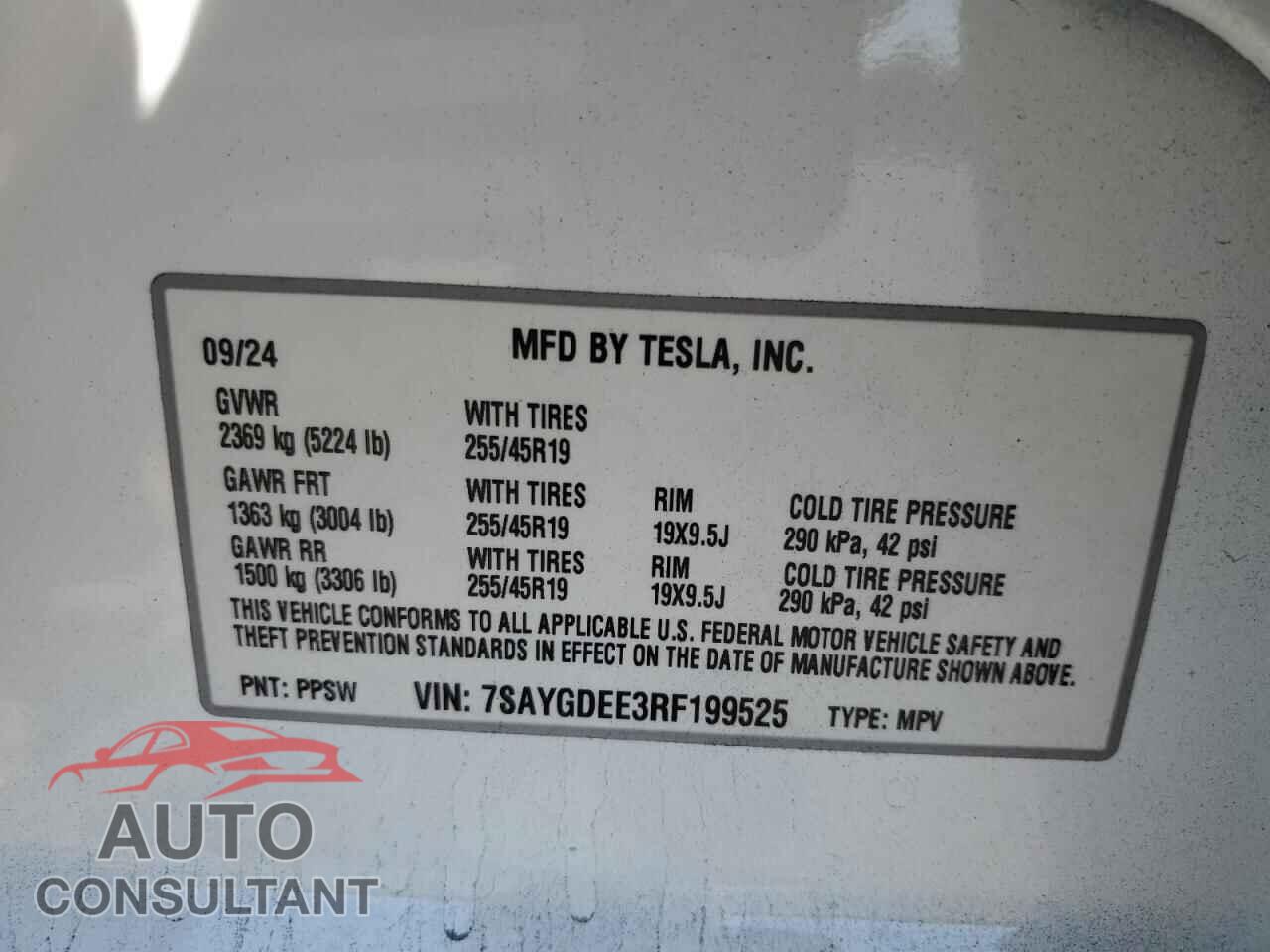 TESLA MODEL Y 2024 - 7SAYGDEE3RF199525