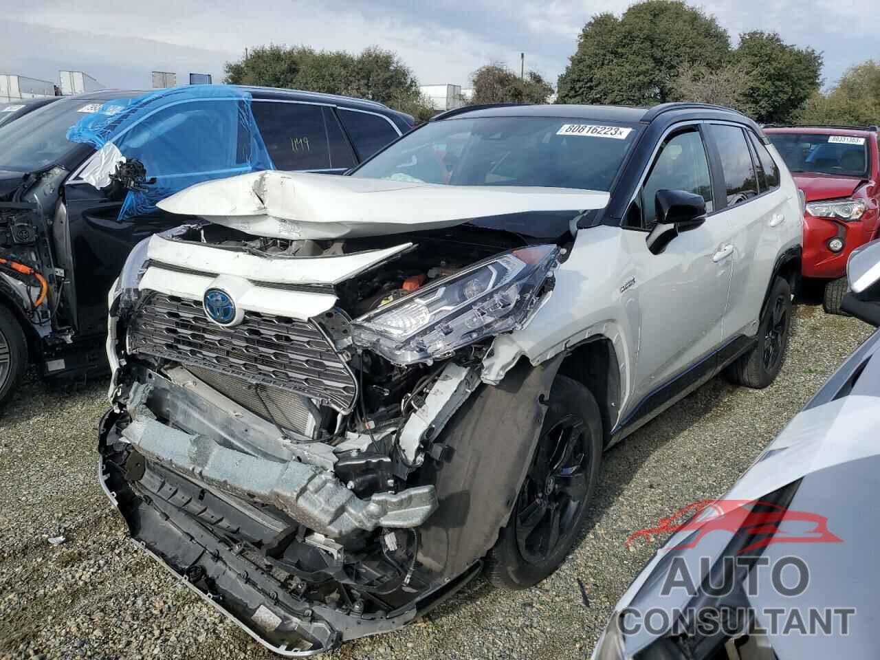 TOYOTA RAV4 2020 - 2T3EWRFV8LW076884