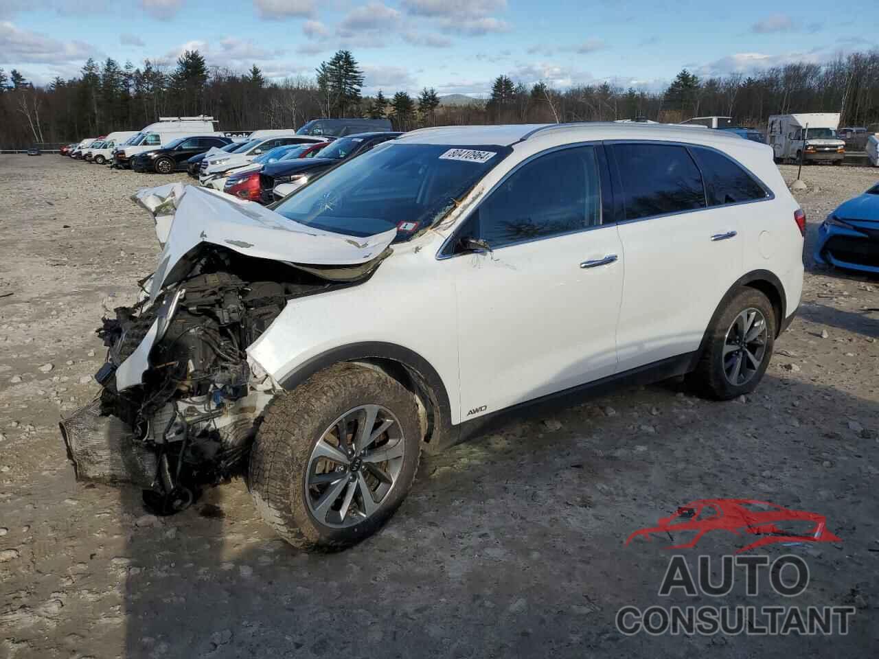 KIA SORENTO 2019 - 5XYPHDA51KG528054