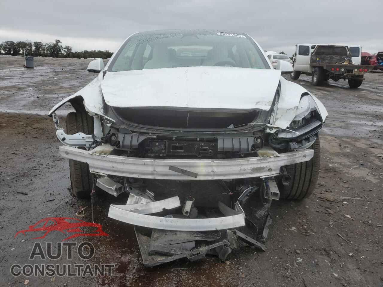 TESLA MODEL 3 2021 - 5YJ3E1EB0MF013336