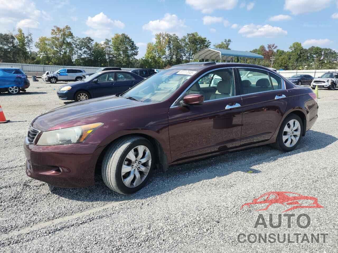 HONDA ACCORD 2010 - 5KBCP3F84AB007898
