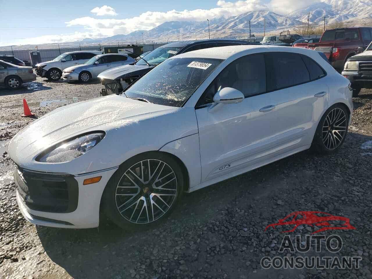 PORSCHE MACAN 2024 - WP1AF2A5XRLB56517