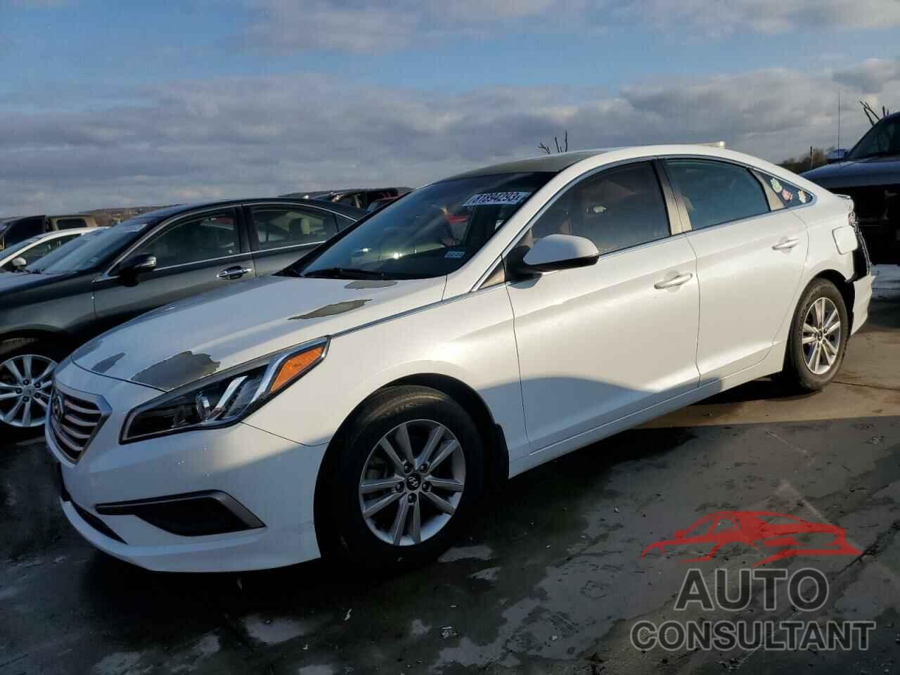 HYUNDAI SONATA 2016 - 5NPE24AF7GH404825