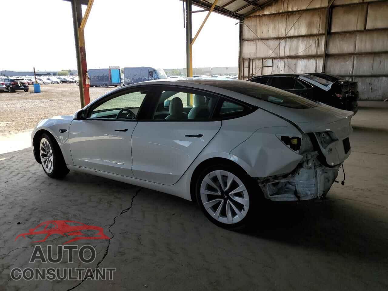 TESLA MODEL 3 2021 - 5YJ3E1EA6MF019083