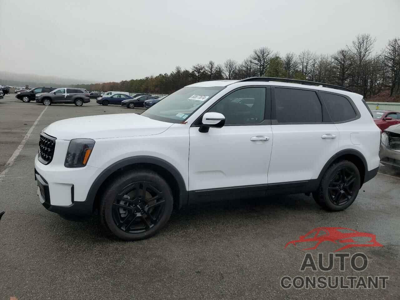 KIA TELLURIDE 2024 - 5XYP3DGC6RG443600