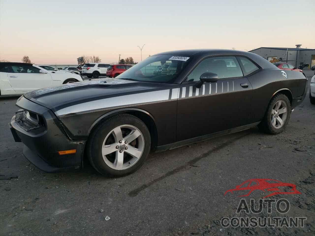 DODGE CHALLENGER 2013 - 2C3CDYAG7DH607756