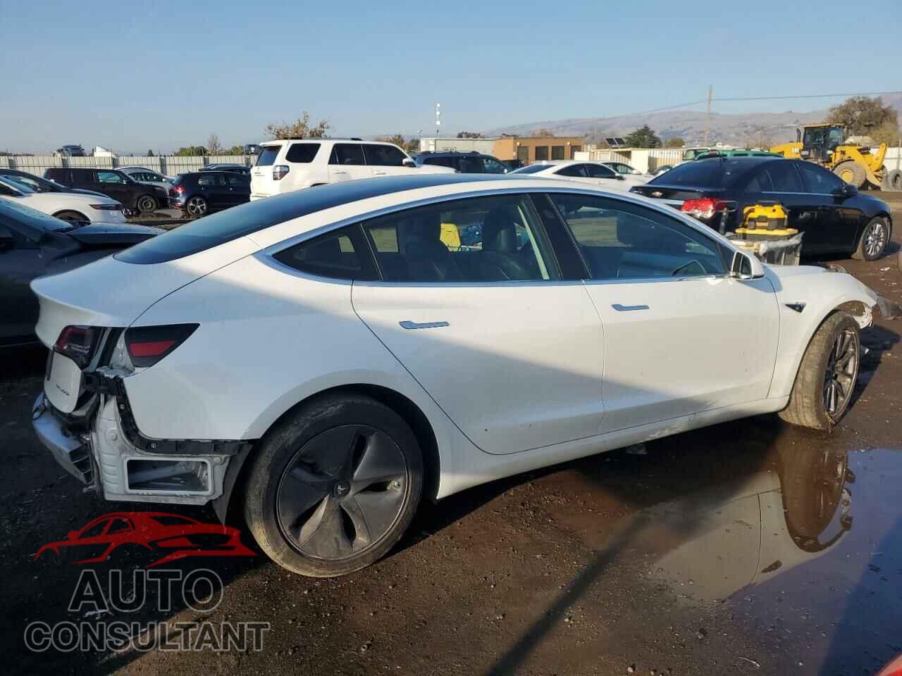 TESLA MODEL 3 2019 - 5YJ3E1EB1KF511882