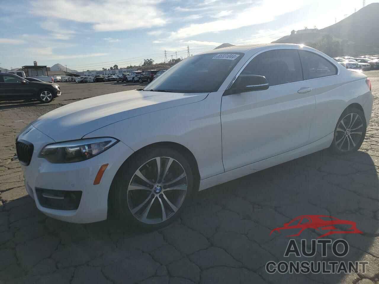 BMW 2 SERIES 2016 - WBA1F9C5XGV546054