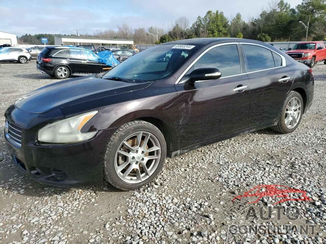 NISSAN MAXIMA 2010 - 1N4AA5AP7AC843001
