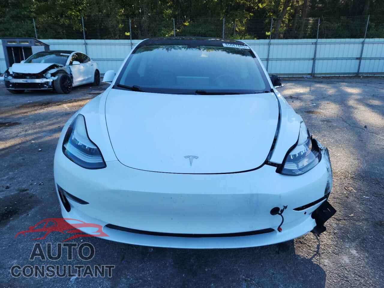 TESLA MODEL 3 2019 - 5YJ3E1EB6KF388001