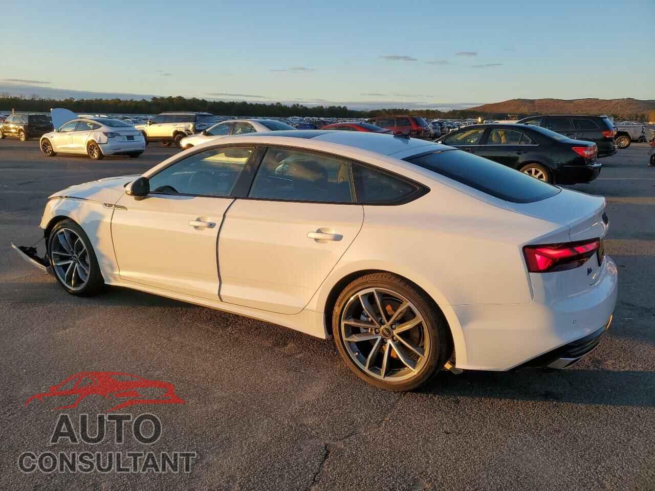 AUDI A5 2024 - WAUDACF5XRA084903