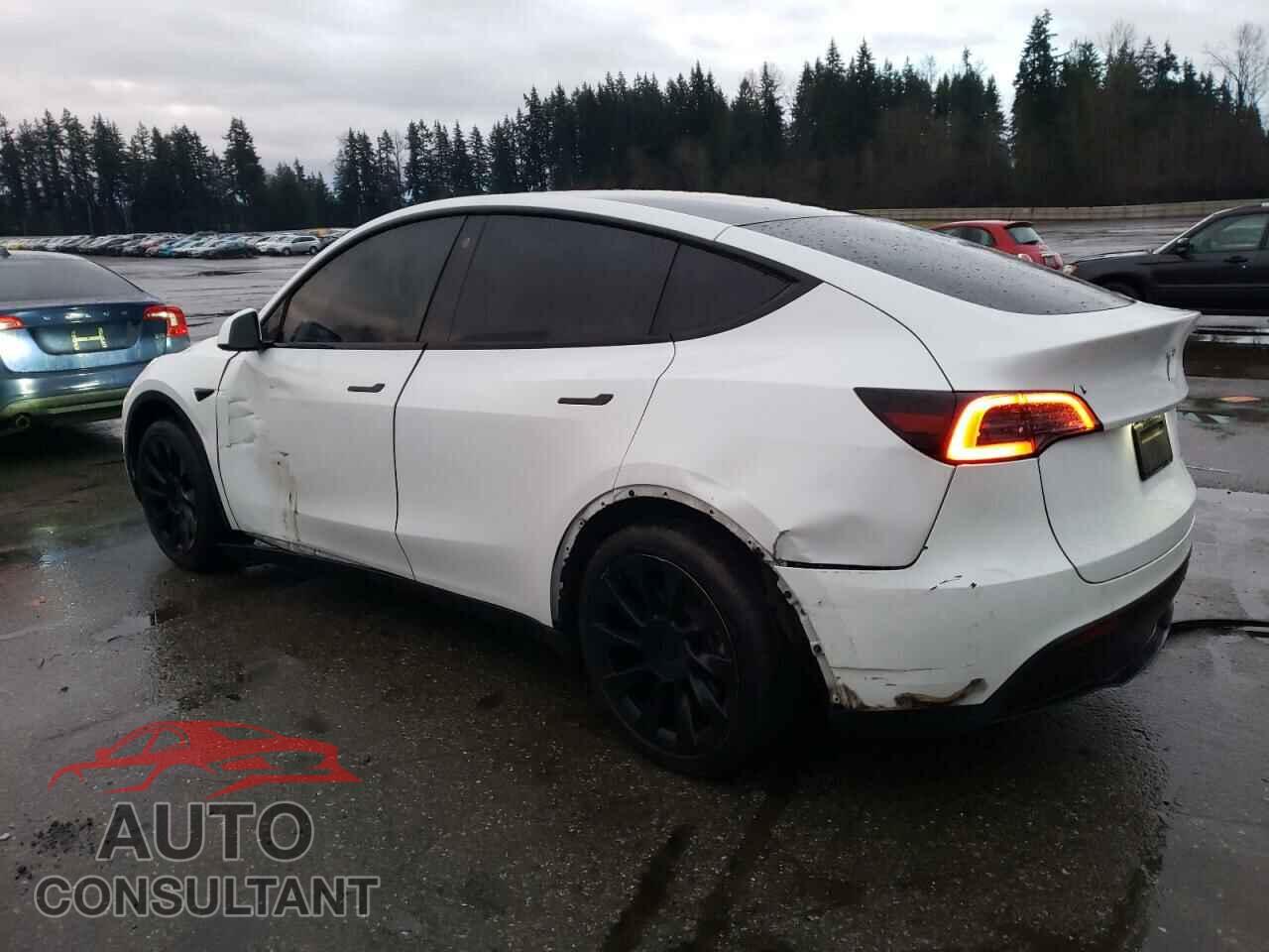 TESLA MODEL Y 2023 - 7SAYGAEE4PF599993