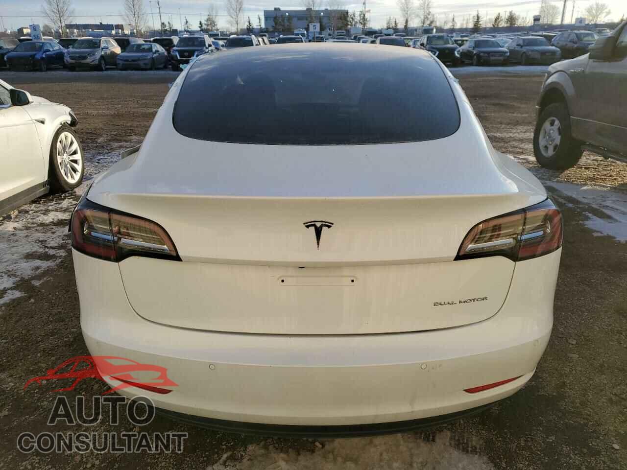 TESLA MODEL 3 2021 - 5YJ3E1EB2MF079712