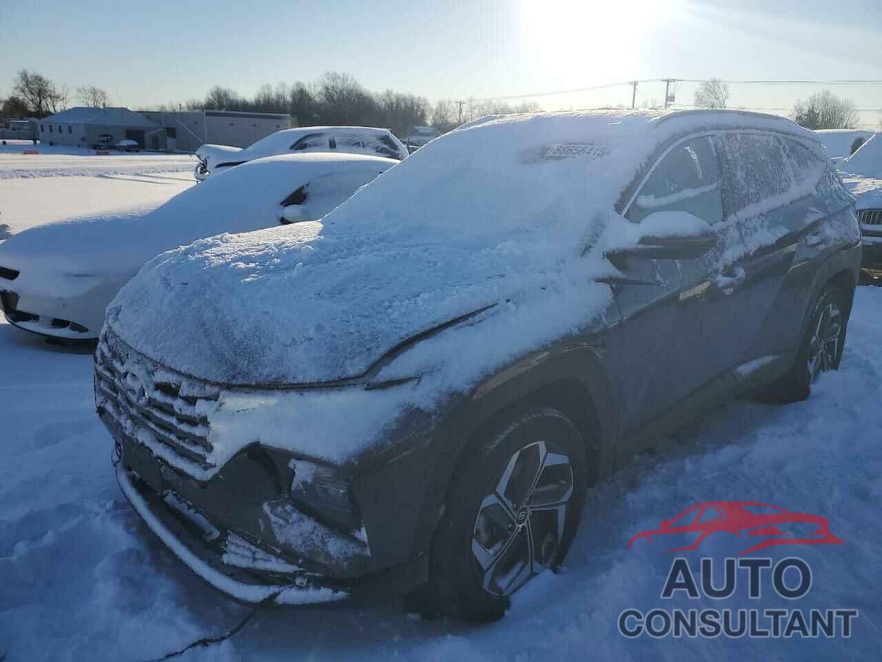 HYUNDAI TUCSON 2022 - KM8JFCA1XNU035622