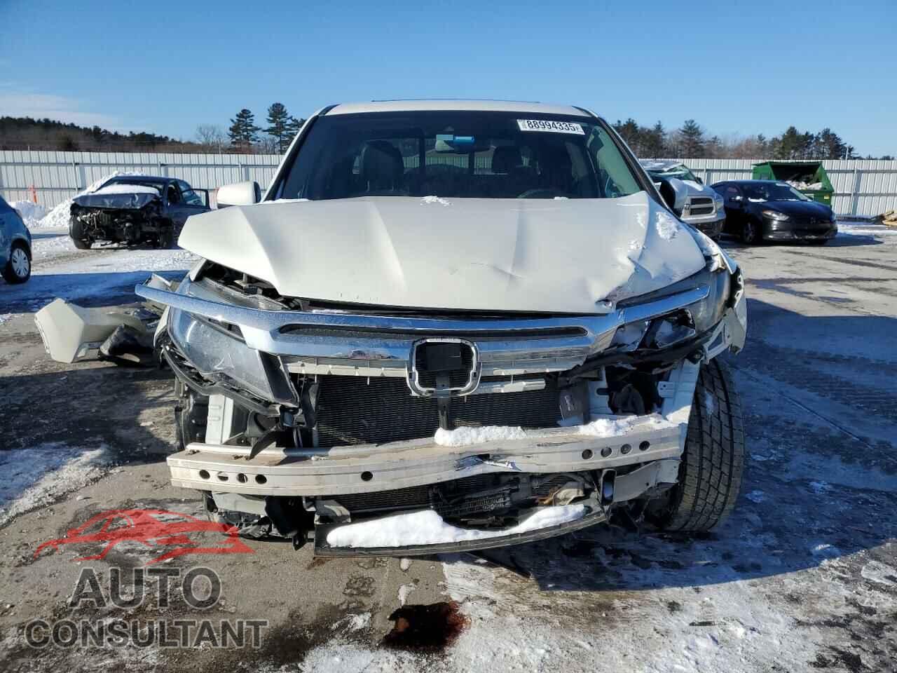 HONDA RIDGELINE 2019 - 5FPYK3F73KB005448