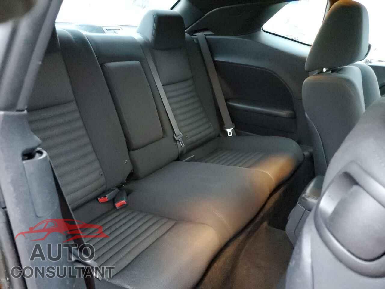 DODGE CHALLENGER 2013 - 2C3CDYBT6DH535850