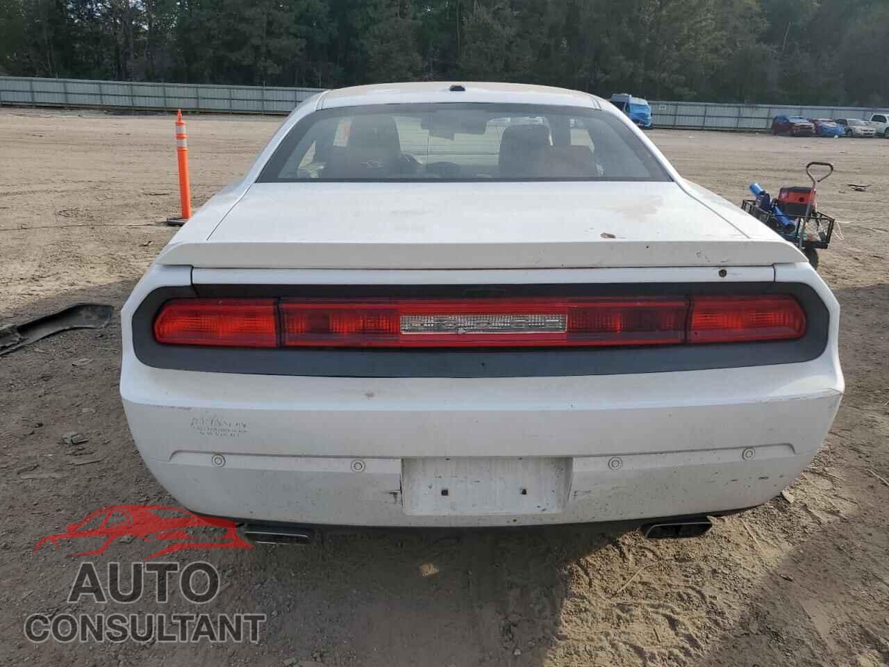 DODGE CHALLENGER 2014 - 2C3CDYBT1EH176828