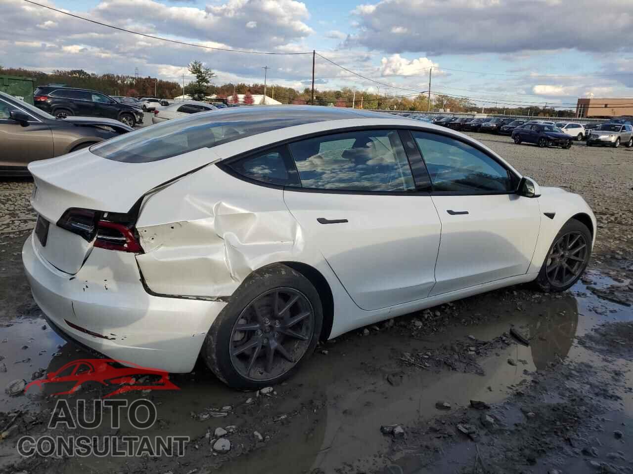 TESLA MODEL 3 2023 - 5YJ3E1EA5PF554829