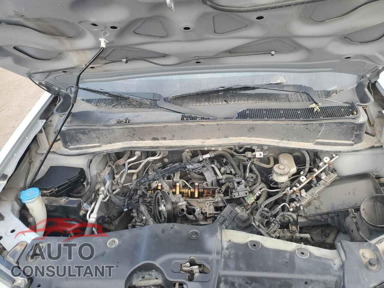 HONDA PILOT 2010 - 5FNYF4H54AB018917