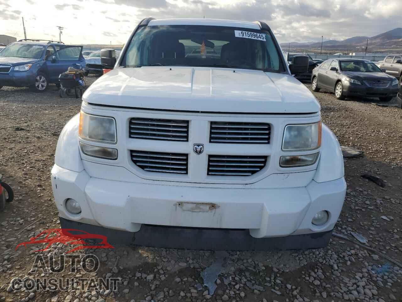 DODGE NITRO 2011 - 1D4PU4GK9BW605820