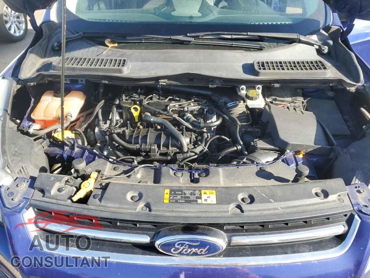 FORD ESCAPE 2013 - 1FMCU0HX1DUC53731