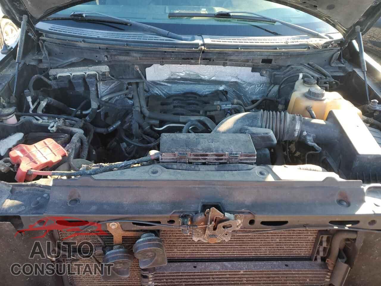FORD F-150 2011 - 1FTFX1EF0BFA36862